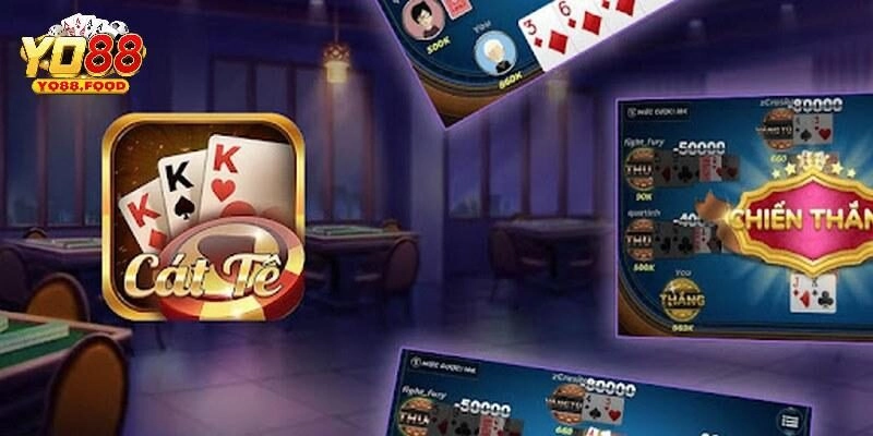 Bài Catte Yo88 Chuẩn Xác Cho Tân Binh Nhận Thưởng Lớn Bật mí các mẹo cược catte Yo88