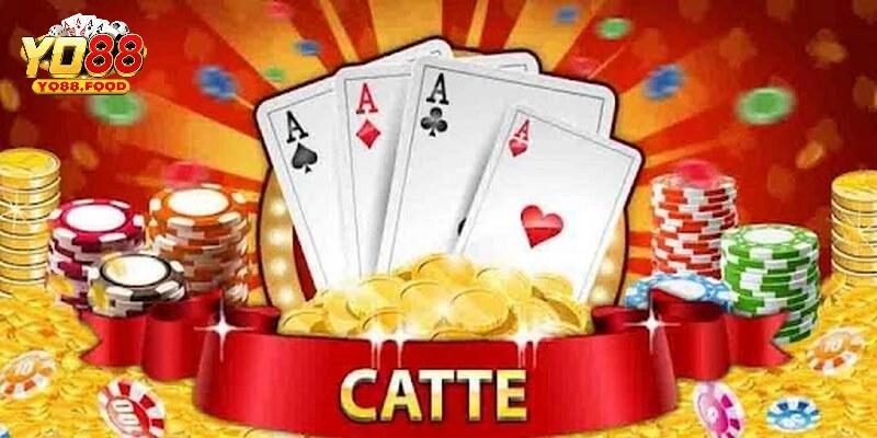 Bài Catte Yo88 Chuẩn Xác Cho Tân Binh Nhận Thưởng Lớn Tìm hiểu về bài catte Yo88