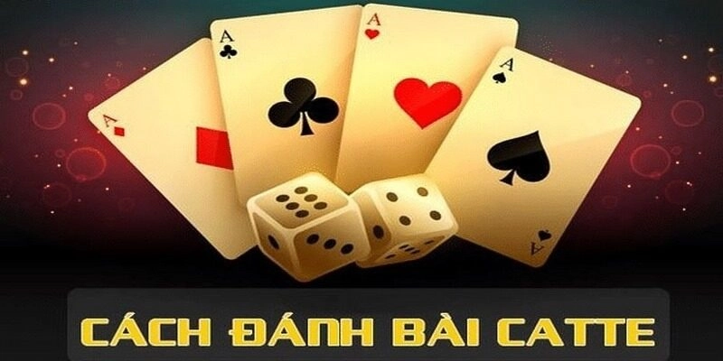 Tiết Lộ Cách Chơi Bài Catte Cực Chuẩn Tại Cổng Game Yo88 Cách chơi bài Catte dành cho người mới gia nhập