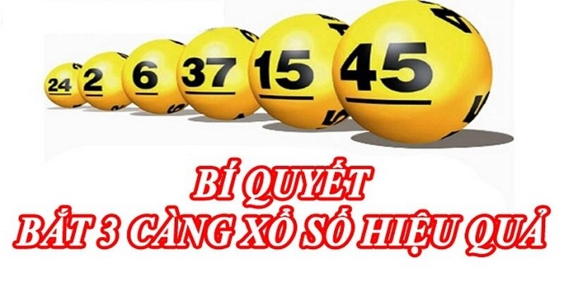 Điểm Ra Cách Đánh Đề 3 Càng Cực Chuẩn Tại Sân Chơi Yo88 Vài nét về đánh đề 3 càng cho người mới