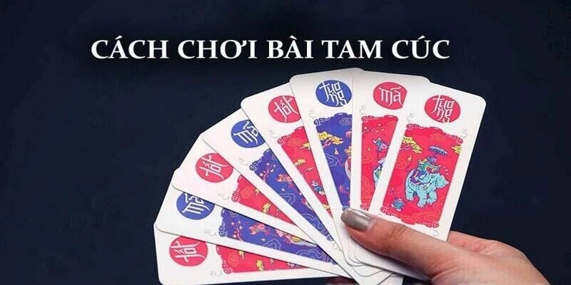 Kinh Nghiệm Chơi Bài Tam Cúc Không Thua – Áp Dụng Ngay! Cách chơi game bài Tam Cúc cho người mới nhập môn