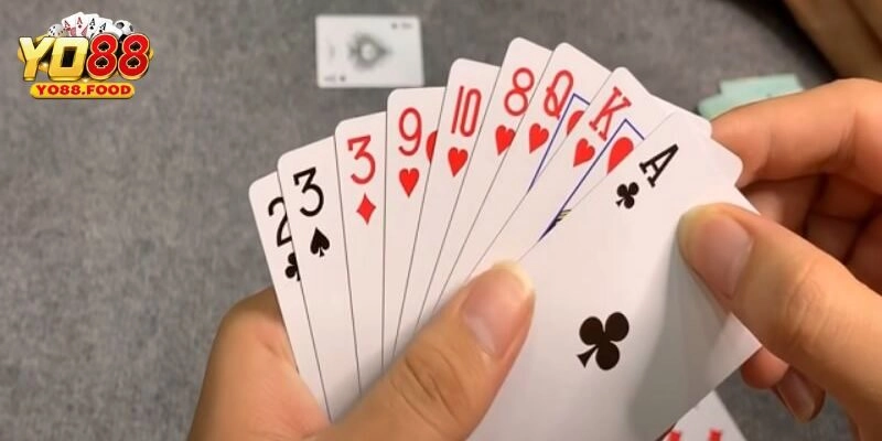 Cách Chơi Bài Phỏm – Mẹo Hay Giúp Bạn Luôn Dẫn Trước Cách Chơi Bài Phỏm – Mẹo Hay Giúp Bạn Luôn Dẫn Trước