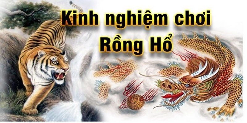 Một số mẹo chơi rồng hổ cực hay dành cho người mới