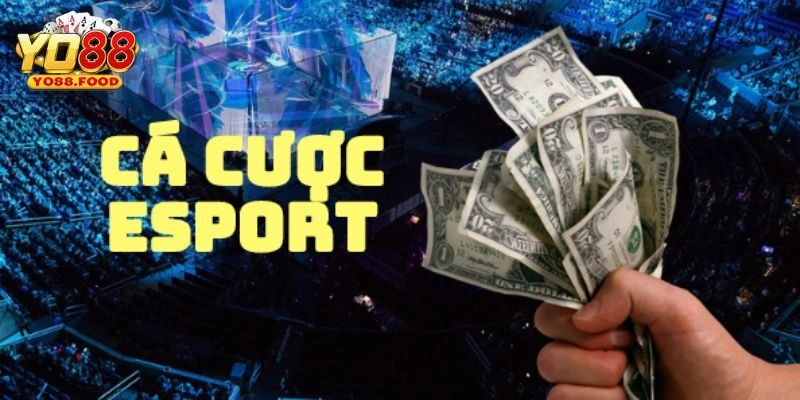 Cá Cược Esports Yo88: Địa Chỉ Chinh Phục Hàng Triệu Game Thủ Bật mí cá cược esports thành công mà người chơi nên biết