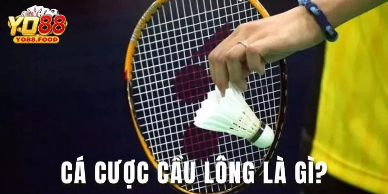 Cá Cược Cầu Lông - Các Hình Thức Được Ưa Thích Nhất Tại Yo88 Giới thiệu về cá cược cầu lông tại Yo88